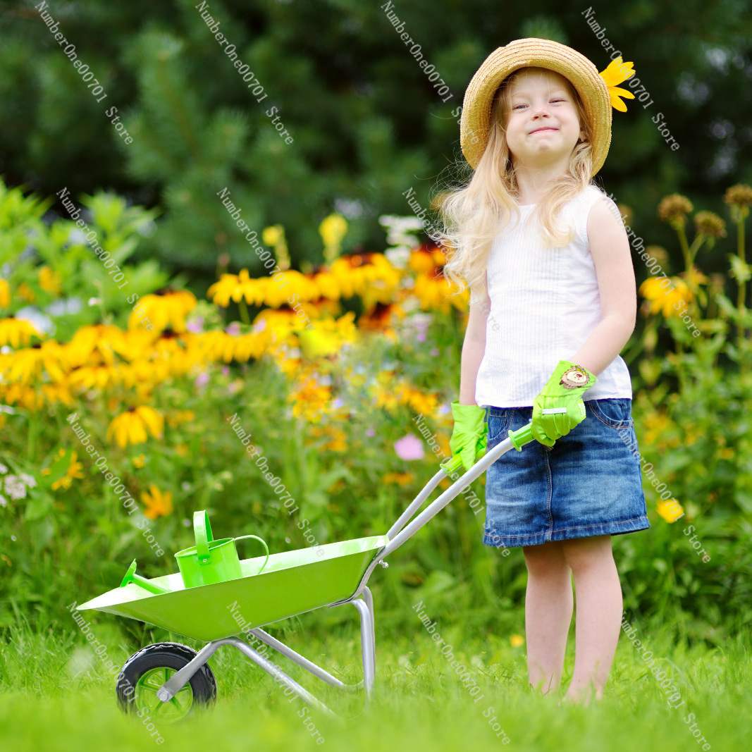 Kids Outdoor Wheelbarrow, Gree - Kids Outdoor Playset ulasan dan harga