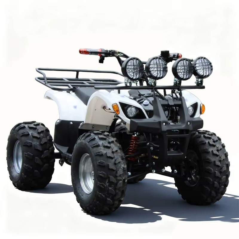 750W 48V Kids Electric ATV Qua - Kids Outdoor Quad Bike ulasan dan harga